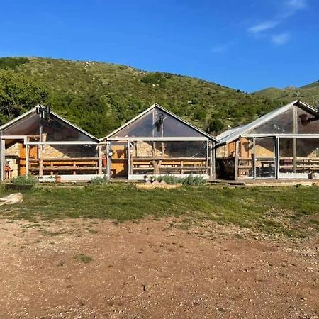 Camping Cajupi Hotel Gjirokastër Buitenkant foto