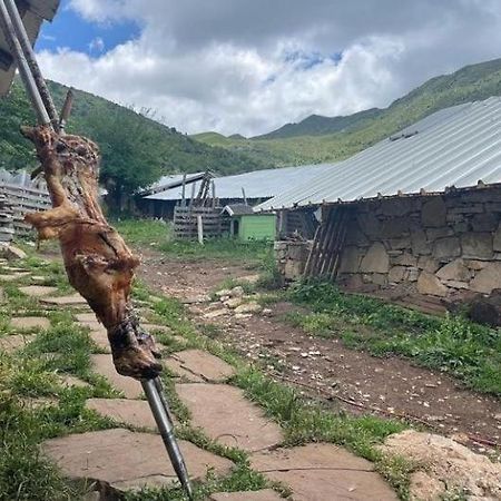 Camping Cajupi Hotel Gjirokastër Buitenkant foto